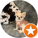 松平ちづこ profile picture