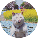 稲村有人 profile picture