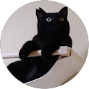 sonomi T. profile picture