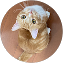 Chachamaru profile picture