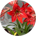 水谷とも子 profile picture