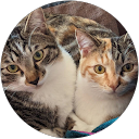 水島吉隆 profile picture