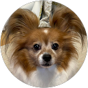 Tanaka profile picture