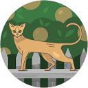 井手上美咲 profile picture