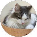 kk慶子 profile picture