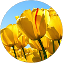 こば profile picture