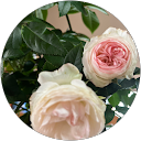 MADOKA H profile picture