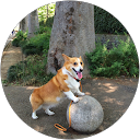 oki raku profile picture