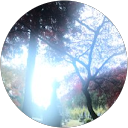 ROMI profile picture