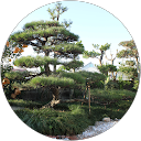 三馬定芳 profile picture