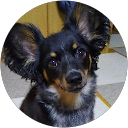 岩根佐吉子 profile picture