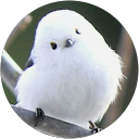 Shu. O profile picture