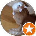 みかん profile picture