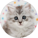 chiko morimori profile picture