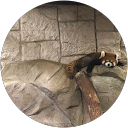 さんたに profile picture