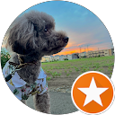 BATA profile picture