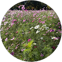 ゆっち profile picture