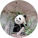 コバ profile picture