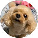 きなこまろん profile picture