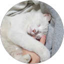 おにぎり05 profile picture