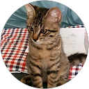 HIRO profile picture