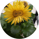 どんちゃっぴー profile picture