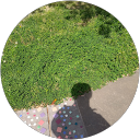 兎武 profile picture