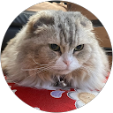 TanRyou profile picture