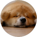 とも吉 profile picture