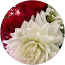 すー profile picture