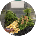 R Fuji profile picture