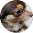 のん profile picture