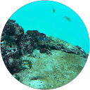 とゆあし profile picture