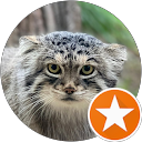 TOMIKO profile picture