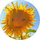 MAI Y profile picture