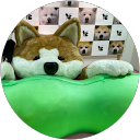 島村謙二 profile picture