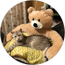 美久 profile picture