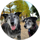 nao p profile picture