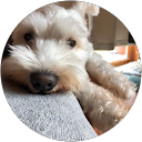 榛葉環 profile picture