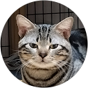 カズヒロ profile picture