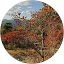 鈴木N profile picture