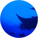 ちゃんのり profile picture