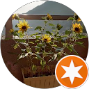 よかママ profile picture