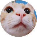 かおあき profile picture