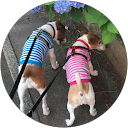 Yoko Ohtsuka profile picture