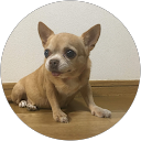 ユキエ profile picture