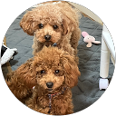 山口和男 profile picture