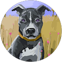 やまきゆうまこ（ユウマコ） profile picture