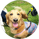 nono wan profile picture