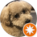 y kobayashi profile picture